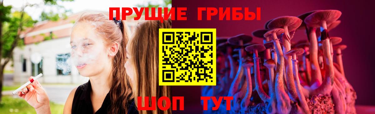 Галлюциногенные грибы Cubensis Великий Новгород