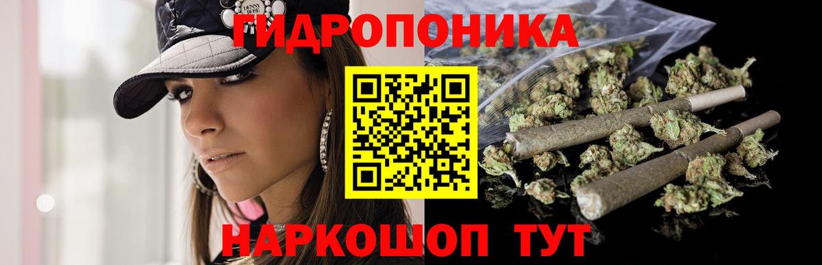 Марихуана White Widow Великий Новгород